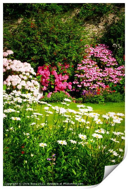 Walled garden border flowerbed Print by Chris Rose