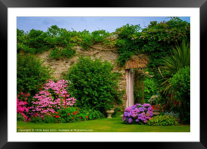 Summer walled garden border flowerbed Framed Mounted Print by Chris Rose