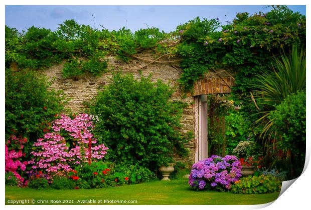 Summer walled garden border flowerbed Print by Chris Rose