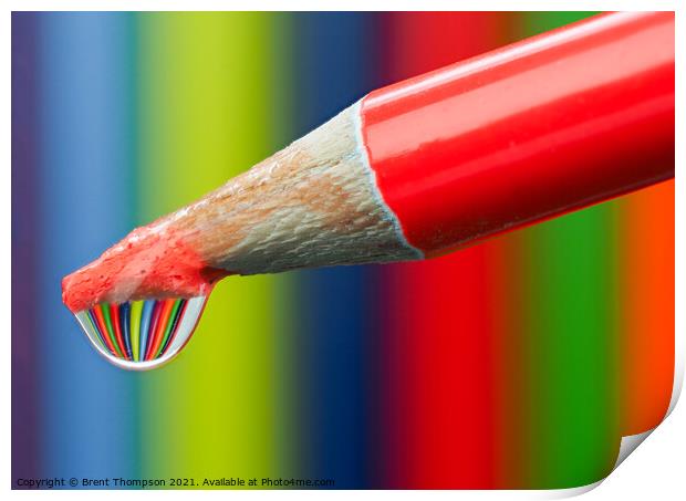 Rainbow coloured pencils Print by Brent Thompson