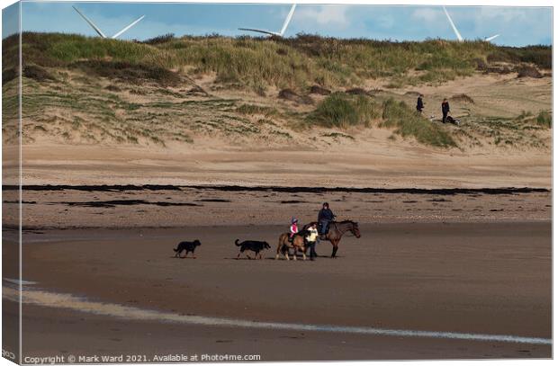 Autumn Activity on Camber Sands. Canvas Print by Mark Ward
