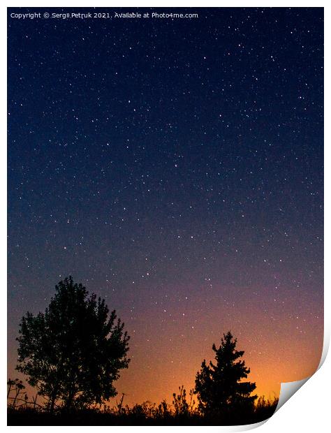 Silhouettes of low trees against the background of the night starry sky and the setting sun. Print by Sergii Petruk