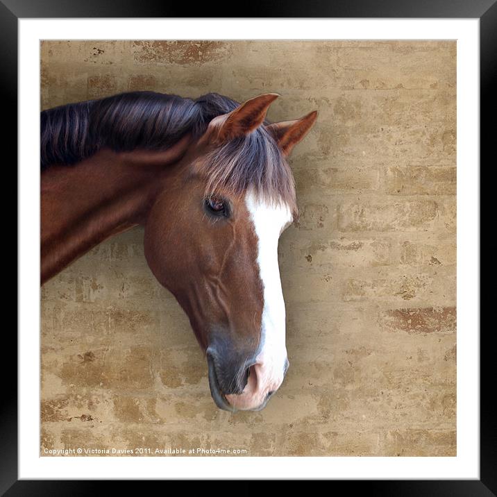 Chestnut Pony Framed Mounted Print by Victoria Davies