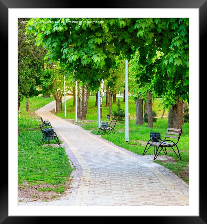 Vibrant green foliage surrounds wooden benches in a picturesque urban summer park along a cobbled walkway. Framed Mounted Print by Sergii Petruk
