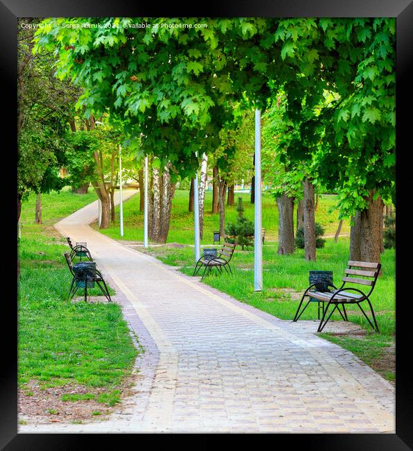 Vibrant green foliage surrounds wooden benches in a picturesque urban summer park along a cobbled walkway. Framed Print by Sergii Petruk