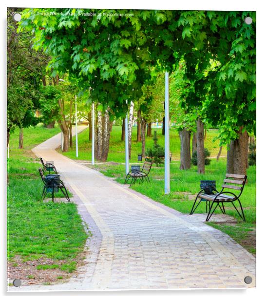 Vibrant green foliage surrounds wooden benches in a picturesque urban summer park along a cobbled walkway. Acrylic by Sergii Petruk