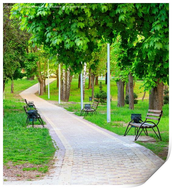 Vibrant green foliage surrounds wooden benches in a picturesque urban summer park along a cobbled walkway. Print by Sergii Petruk