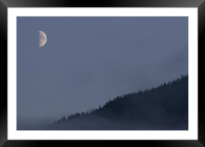 Moon over woods Framed Mounted Print by Thomas Schaeffer