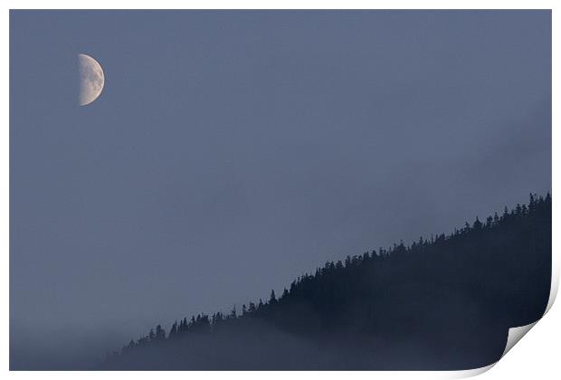 Moon over woods Print by Thomas Schaeffer