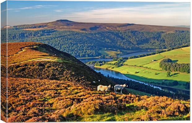 Ladybower Lookout  Canvas Print by Darren Galpin
