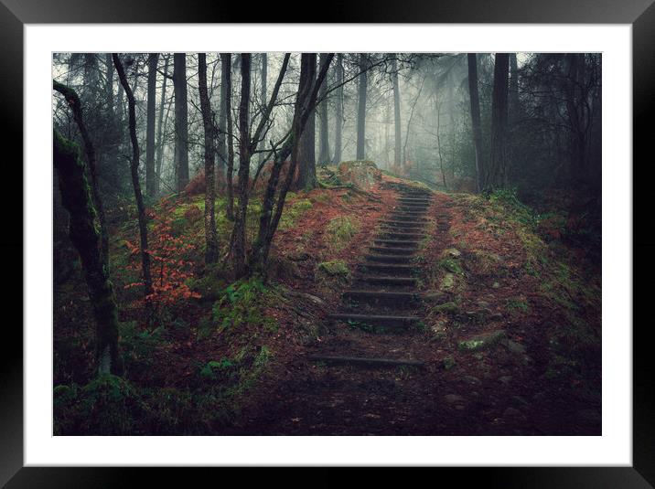 Into the unknown Framed Mounted Print by Jason Thompson