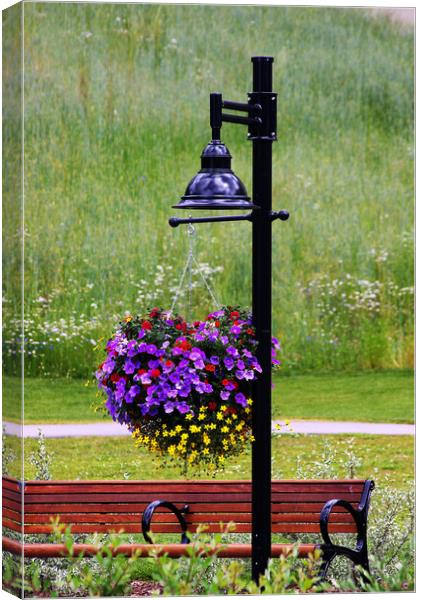Hanging Basket Canvas Print by Amy Rogers