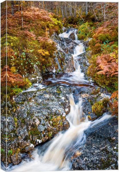 Glen Affric Waterfall in Autumn Canvas Print by John Frid