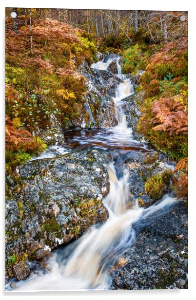 Glen Affric Waterfall in Autumn Acrylic by John Frid