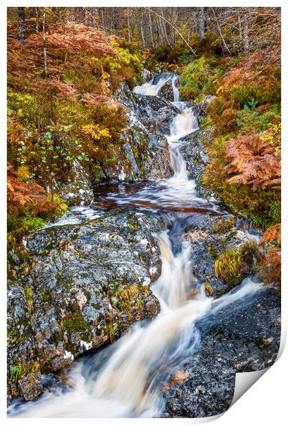 Glen Affric Waterfall in Autumn Print by John Frid