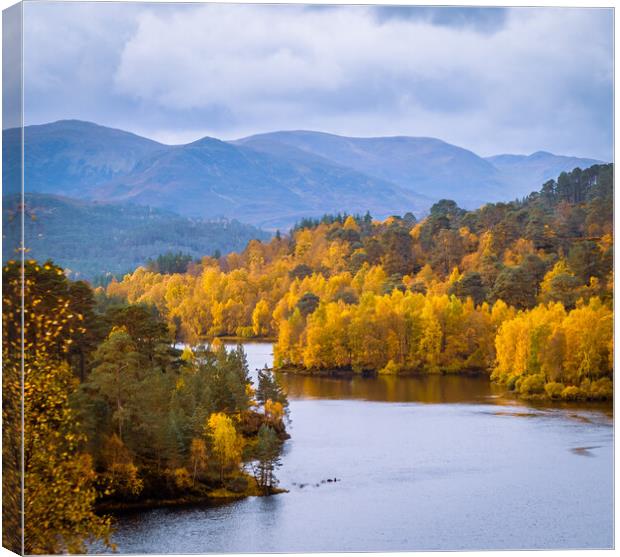 Glen Affric in Autumn Colours Canvas Print by John Frid