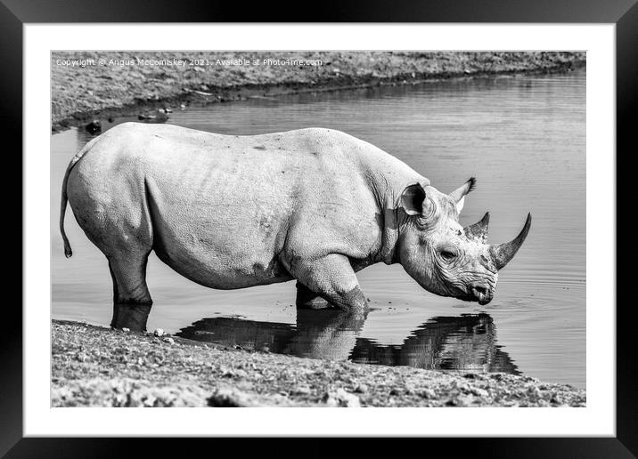 Black rhino at the waterhole mono Framed Mounted Print by Angus McComiskey