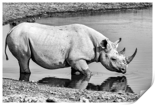 Black rhino at the waterhole mono Print by Angus McComiskey