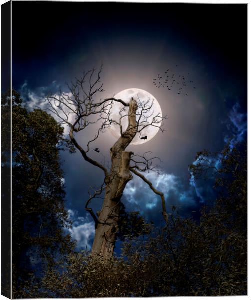 Halloween inspired compilation Canvas Print by Leighton Collins