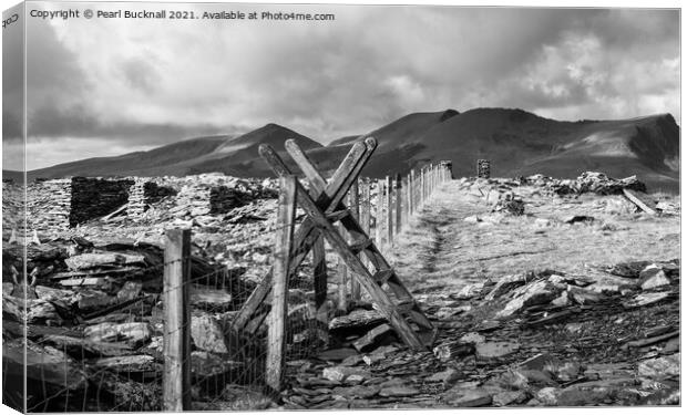 Mountain Path in Snowdonia Wales Black and White Canvas Print by Pearl Bucknall