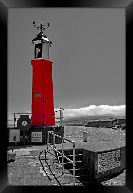 WatchetHarbour Lighthouse  Framed Print by Joyce Storey
