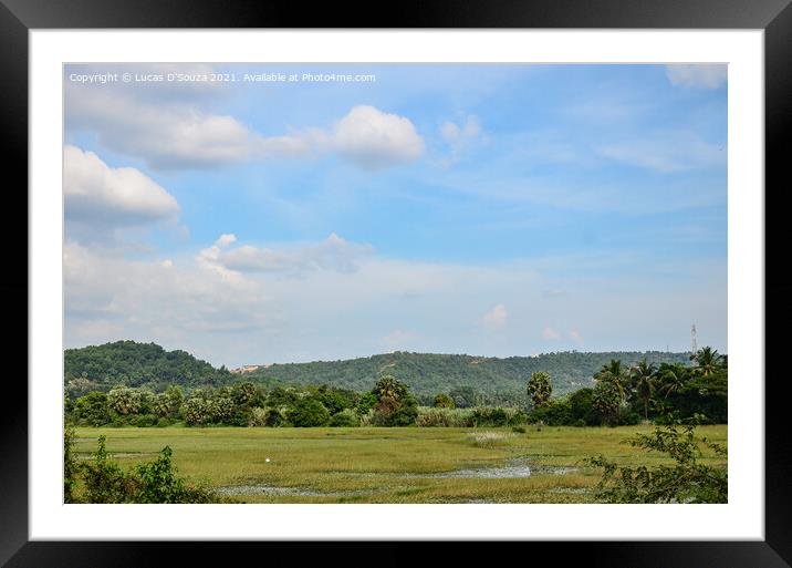 Wetlands at Adyapadi, Mangalore, India Framed Mounted Print by Lucas D'Souza