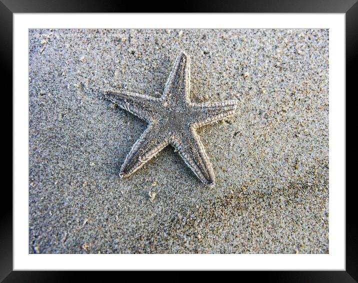 Dead star fish on the beach Framed Mounted Print by Lucas D'Souza