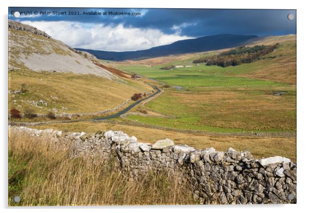 Kingsdale, North Yorkshire Acrylic by Peter Stuart