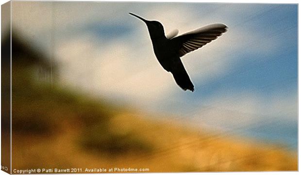 Hummingbird in flight Canvas Print by Patti Barrett