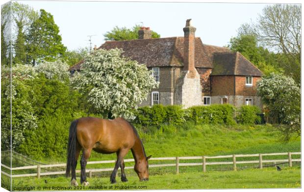 Horse and House Canvas Print by Phil Robinson