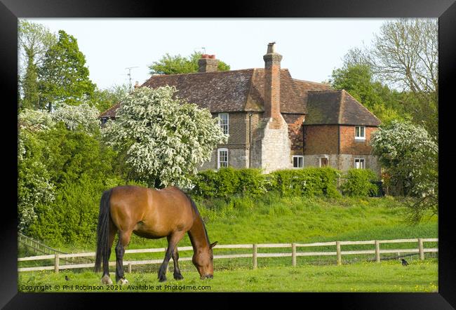 Horse and House Framed Print by Phil Robinson