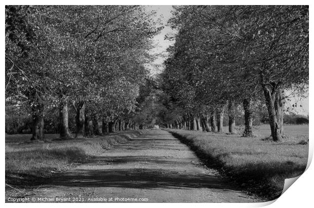 avenue to home Print by Michael bryant Tiptopimage