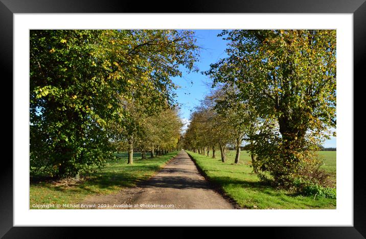 Avenue in autumn  Framed Mounted Print by Michael bryant Tiptopimage