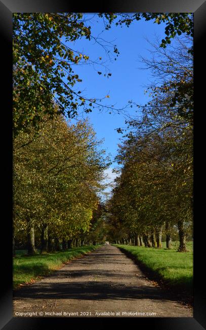 autumn avenue Framed Print by Michael bryant Tiptopimage