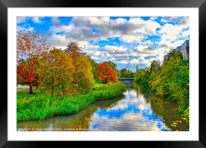 Riverside Autumn Trees Framed Mounted Print by David Atkinson