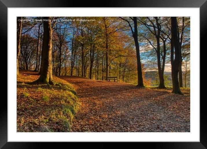 Autumn on Kinnoull Hill, Perth Scotland Framed Mounted Print by Navin Mistry