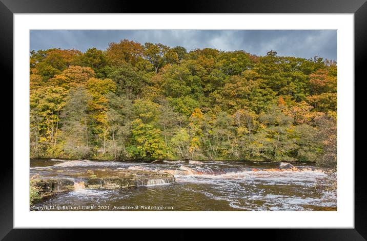 Autumn Woodland at Whorlton, Teesdale Framed Mounted Print by Richard Laidler