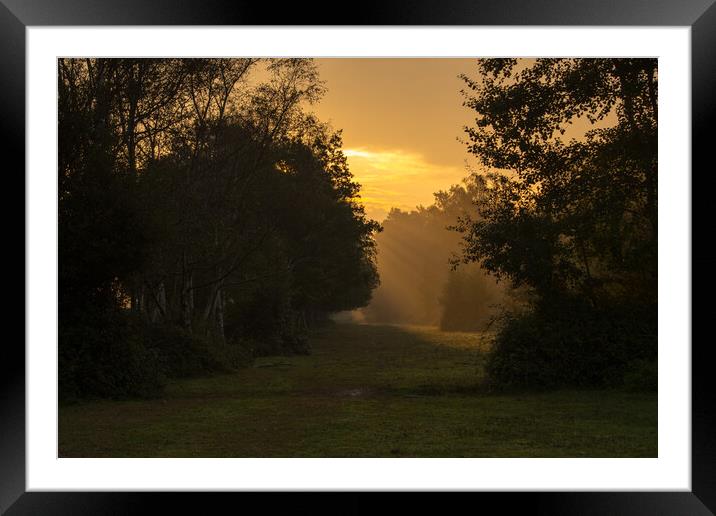 Morning Hope...1 Framed Mounted Print by Elzbieta Sosnowski