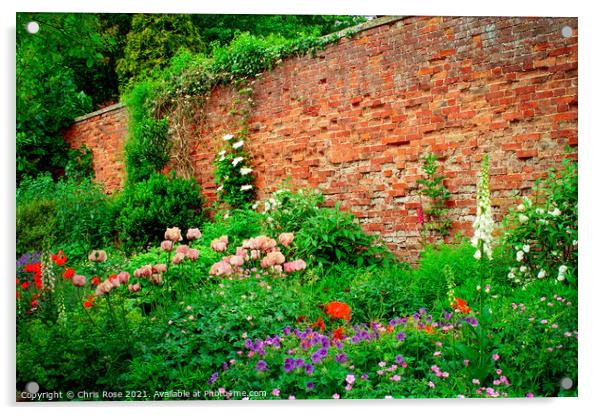 Walled garden summer flowers border Acrylic by Chris Rose