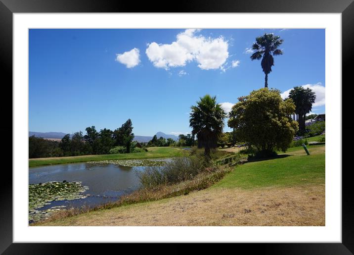 Lake and palm tree Framed Mounted Print by Theo Spanellis