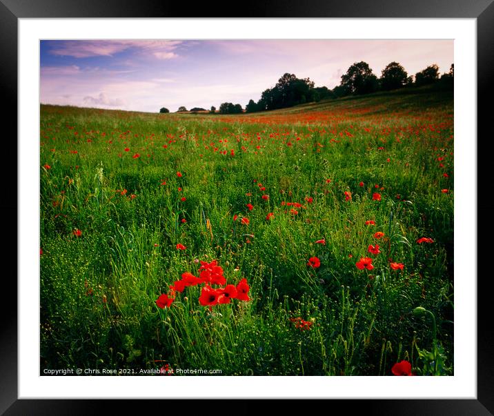 Poppy field Framed Mounted Print by Chris Rose