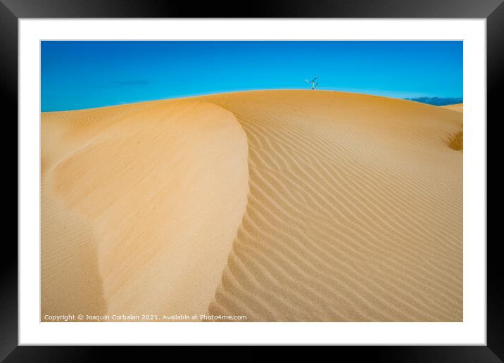 The wind blows the fine sand off the beaches and forms high dune Framed Mounted Print by Joaquin Corbalan