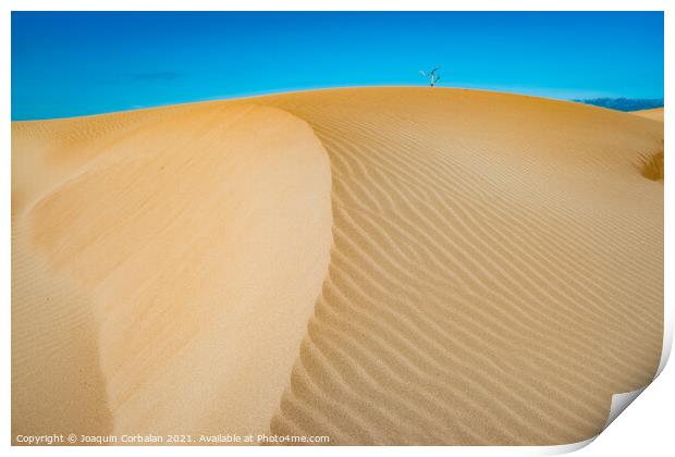 The wind blows the fine sand off the beaches and forms high dune Print by Joaquin Corbalan