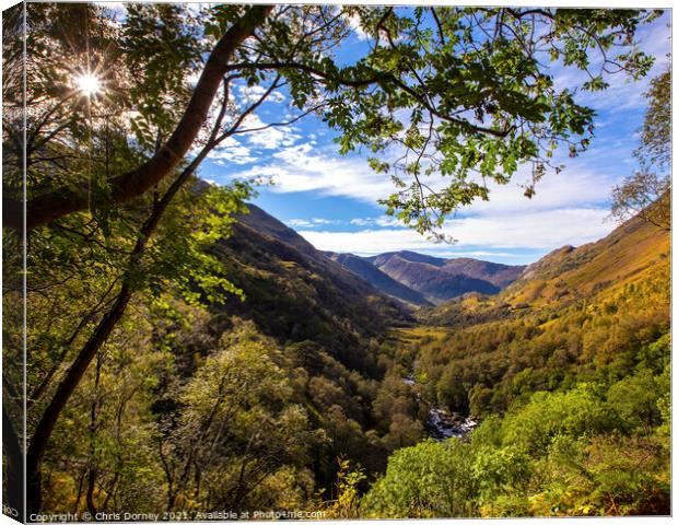 Nevis Gorge in the Highlands of Scotland, UK Canvas Print by Chris Dorney