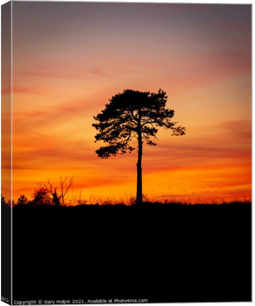 Tree silhouette at dusk Canvas Print by Gary Holpin