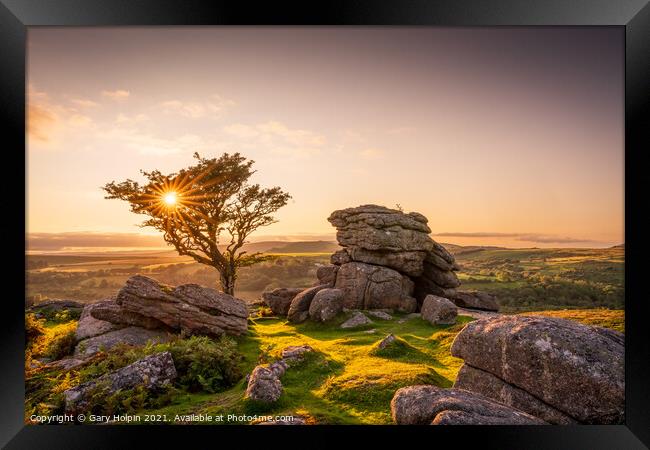 Lone Dartmoor tree at sunset Framed Print by Gary Holpin
