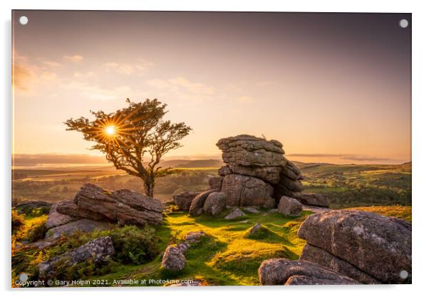 Lone Dartmoor tree at sunset Acrylic by Gary Holpin