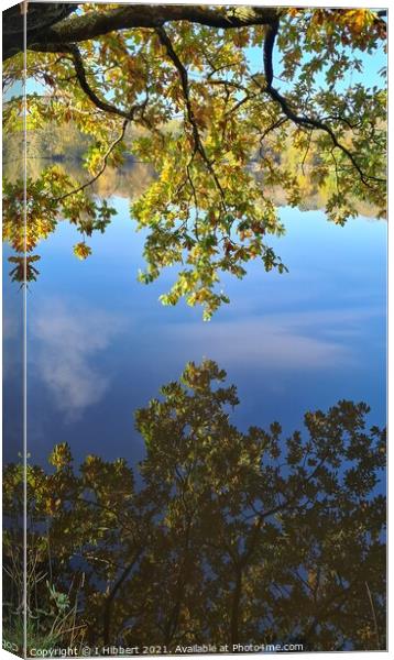 Reflection of Autumn Canvas Print by I Hibbert