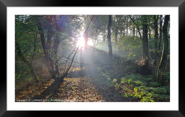 Early morning sun in the woodland Framed Mounted Print by I Hibbert