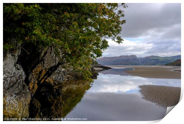 The Afon Dwyryd at Portmeirion North Wales.  Print by Paul Chambers